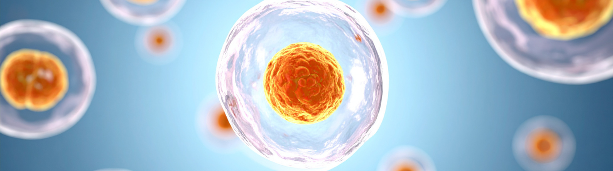 Anatomie biologie illustration cellule 